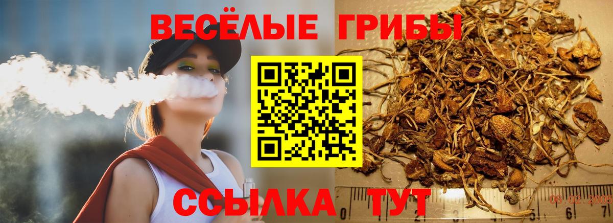 Псилоцибиновые грибы ЛСД  Псилоцибиновые грибы ЛСД  где купить наркоту  Мелеуз  Вход с VPN 