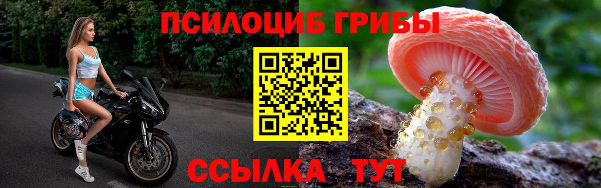 Галлюциногенные грибы GOLDEN TEACHER Мелеуз